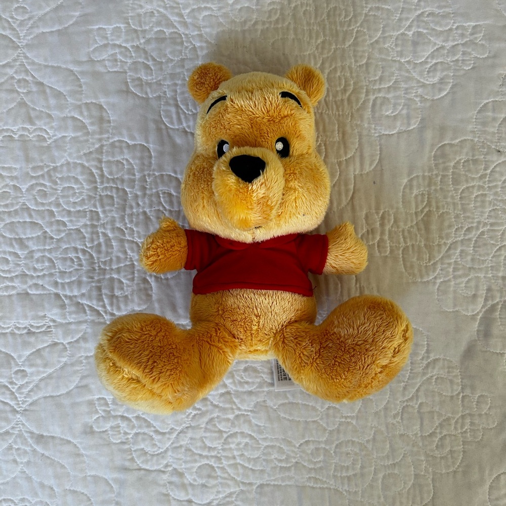 Disney Land Winnie the Pooh Stuffed Animal